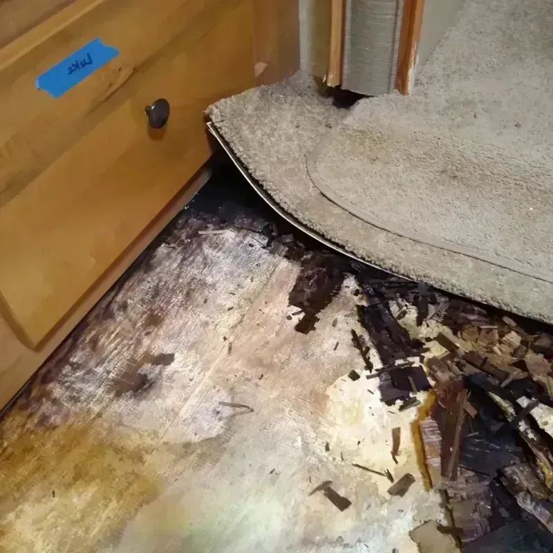 Wood Floor Water Damage in Idyllwild-Pine Cove, CA